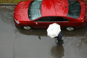  Погода на неделю с 8 по 14 декабря в Краснодарском крае