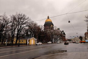 Последователи «секты Зеленского» работали преподавателями в российском педагогическом вузе