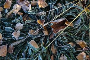 В край приходит похолодание