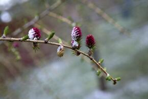 Мы собрали для вас новости, которые обязательно надо обсудить с коллегами, друзьями или родственниками