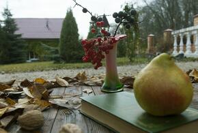 Россия и Таиланд ведут переговоры о картах «Мир», США наносят удары по террористической группировке: что произошло, пока вы спали