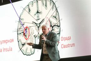 Эксперимент исследователей дал неожиданный результат