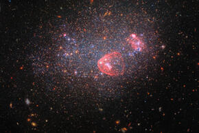 Стрельцов ждет активное общение, Козерогам нужно думать о здоровье