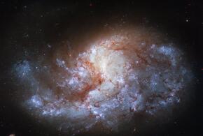 Стрельцы одолеют противника, а Овнам пора собирать чемоданы