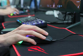 Студента из Краснодара задержали за разработку вредоносного приложения 