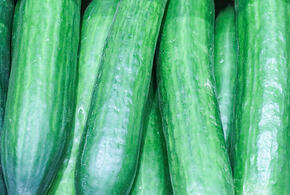 Тонны зараженных импортных огурцов обнаружены на складе в Краснодаре