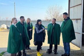 Ученые из Петербурга приехали в кубанский агрохолдинг, чтобы обсудить технологии клонирования животных