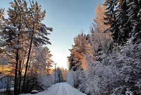 Ученые рассказали о связи русской природы с неврозами