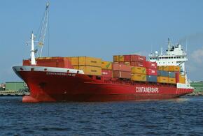 В Черном море произошла новая экологическая катастрофа