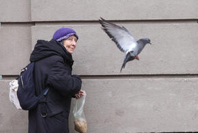 Нынешних выплат не хватает даже на базовые нужды