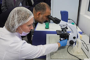 В России ученые обнаружили вещество, убивающее раковые клетки