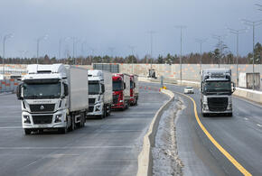 В соседнем с Кубанью регионе критически плохо с экологией, виной тому - увеличение автопарка