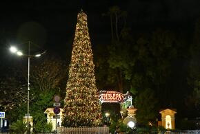 Власти Сочи стремятся сэкономить на новогодних украшениях