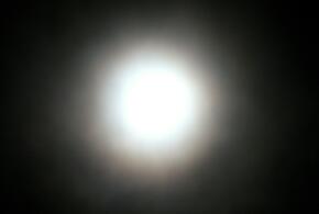 Мессинг мог читать мысли и предсказывать события 