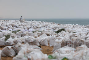 Почему отходы сгружают рядом с домами, и куда пропали прошлогодние обещания властей?