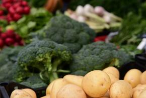 Зелень, фрукты и молочка: в Краснодаре на выходных откроются восемь ярмарок