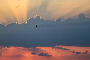 Ждать ли бурю? Какая геомагнитная обстановка ждёт кубанцев на этой неделе, и кто ощутит её на себе