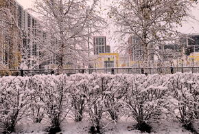 Расскажем, какие сюрпризы принесет погода