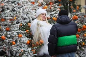 Зимняя «жесть»: в Краснодарском крае перед Новым годом ждут похолодания и гололеда