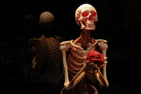 Убийцу так и не нашли