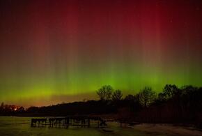 Амбиции повредят Близнецам, у Львов дружба перерастёт во что-то большее