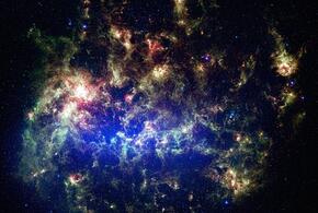 Близнецы, слушайте свое сердце, а Скорпионам пора уделить время семье