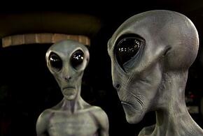 Больше невозможно скрывать: засекреченная информация о контактах с НЛО станет известна общественности в 2026 году