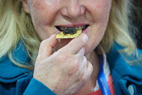 Черная икра на «помойном масле» заполонила российский рынок