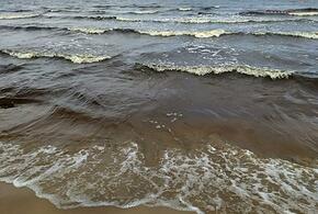 Что сейчас происходит в поселке Волна Краснодарского края после атаки БПЛА?