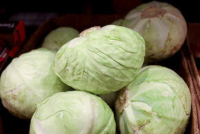 Эксперты назвали наиболее подешевевшие продукты в январе 2026 года