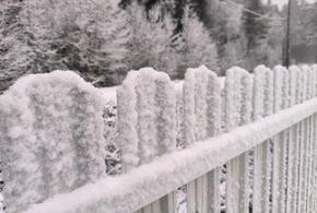 Почему власти ничем не могут помочь? Что говорят кубанцы?