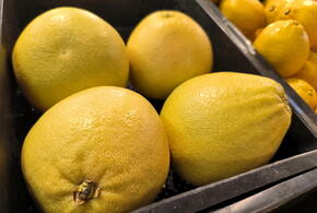 Это опасно: врач рассказала, кому нельзя есть лимоны