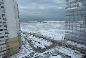 Какая погода будет в Краснодарском крае в оставшиеся дни января? Закончится ли снег?