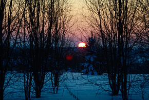 Когда на Кубань придет долгожданное потепление, приставы приехали выселять Долину из квартиры: ТОП-5 за 19 января