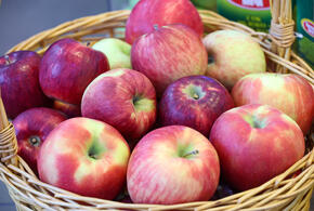 Фото: Global Look Press\ Belkin Alexey