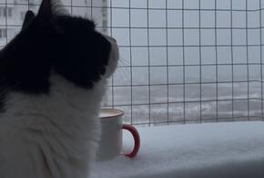 Кошмар продолжится: штормовое предупреждение опубликовали в связи со снегопадом в Краснодаре