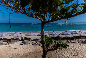 Лечение длится почти год