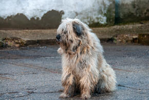 Работы пройдут сразу в нескольких районах кубанской столицы 