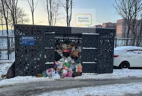 Новороссийск завалило мусором