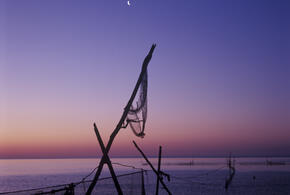 Новые снимки 3I/ATLAS сильно удивили астрономов. В чём дело?