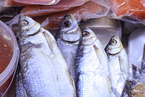 Паралич и даже смерть: жителей Новороссийска предостерегли от покупки рыбы «с рук»