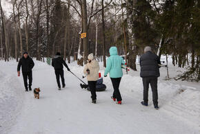 Почему в феврале не выгодно брать отпуск? Эксперт всё рассчитала