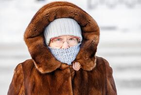 Полицейские задержали 69-летнюю пенсионерку, которая работала на преступников и специально приехала на Кубань из Карелии, чтобы выполнить задание