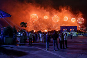 Последствия салютов на Кубани: бездомные собаки ранены, домашние - сбежали 