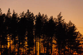 Посёлок Волна - тревога по БПЛА. Новороссийск, Анапа - опасность. Украина подготовила массовую атаку на Кубань