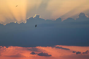 Прогноз магнитных бурь на январские праздники 2026