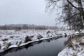 Для жителей организована доставка воды и продуктов