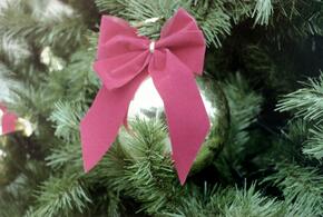 Мероприятия продлятся до 11 января включительно