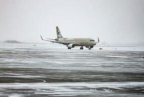 Самолет из Сочи совершил аварийную посадку в Барнауле