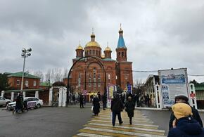 Синоптики прогнозируют резкое потепление на Рождество в Краснодарском крае